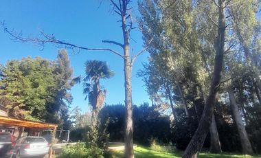 Casa quinta en venta - 4 Dormitorios 3 Baños - Coronel Brandsen