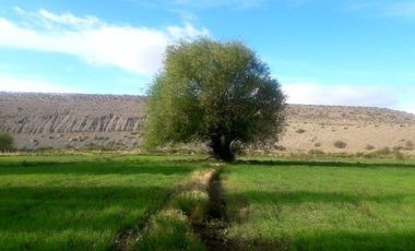 Chacra en venta - 57.800Mts2 - Chubut