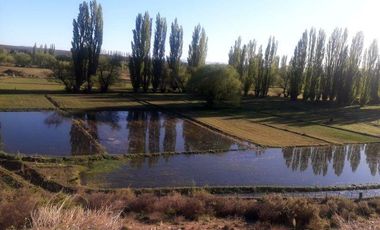 Chacra en venta - 57.800Mts2 - Chubut