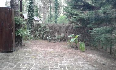 Edificio Comercial en venta - 2 Cabañas - 555mts2 - Costa del Este