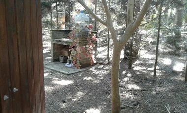 Edificio Comercial en venta - 2 Cabañas - 555mts2 - Costa del Este