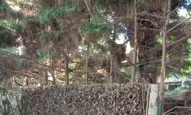 Edificio Comercial en venta - 2 Cabañas - 555mts2 - Costa del Este