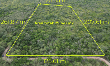 ¡Terreno para desarrollar! en frente de Hacienda San Eduardo, Telchac.
