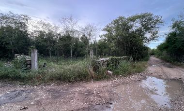 ¡Terreno para desarrollar! en frente de Hacienda San Eduardo, Telchac.