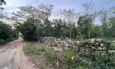 ¡Terreno para desarrollar! en frente de Hacienda San Eduardo, Telchac.