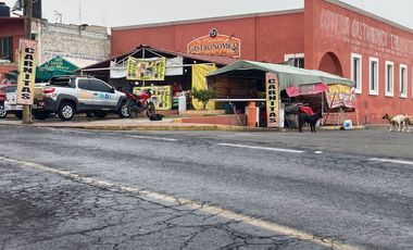 TERRENO EN VENTA SAN MIGUEL, TENANGO DEL AIRE