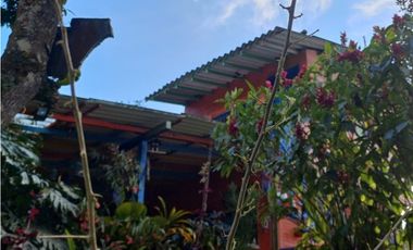 VENTA FINCA, TITIRIB SUROESTE ANTIOQUEÑO