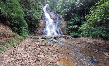 VENTA FINCA, TITIRIB SUROESTE ANTIOQUEÑO