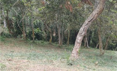 VENTA FINCA, TITIRIB SUROESTE ANTIOQUEÑO