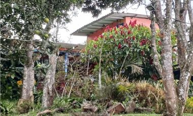 VENTA FINCA, TITIRIB SUROESTE ANTIOQUEÑO