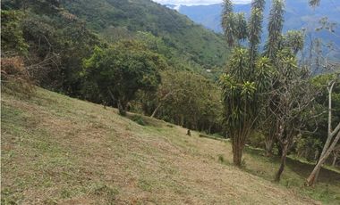 VENTA FINCA, TITIRIB SUROESTE ANTIOQUEÑO