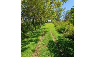 VENTA FINCA, TITIRIB SUROESTE ANTIOQUEÑO