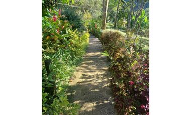 VENTA FINCA, TITIRIB SUROESTE ANTIOQUEÑO