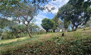 VENTA FINCA, TITIRIB SUROESTE ANTIOQUEÑO