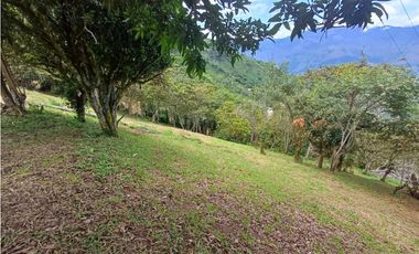 VENTA FINCA, TITIRIB SUROESTE ANTIOQUEÑO