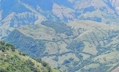VENTA FINCA, TITIRIB SUROESTE ANTIOQUEÑO