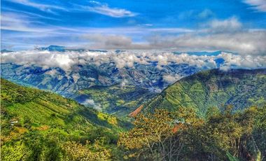 VENTA FINCA, TITIRIB SUROESTE ANTIOQUEÑO