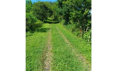 VENTA FINCA, TITIRIB SUROESTE ANTIOQUEÑO