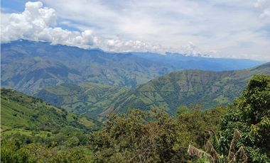 VENTA FINCA, TITIRIB SUROESTE ANTIOQUEÑO
