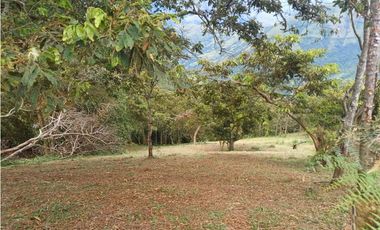 VENTA FINCA, TITIRIB SUROESTE ANTIOQUEÑO