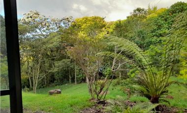 Alquiler Casa Finca vía La Ceja  La union 8824950 DL