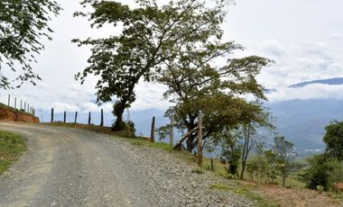 Lote SAN JERÓNIMO, Antioquia