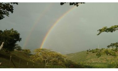 Lote SAN JERÓNIMO, Antioquia