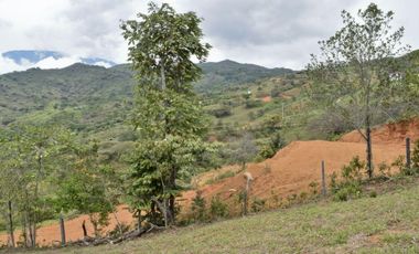 Lote SAN JERÓNIMO, Antioquia