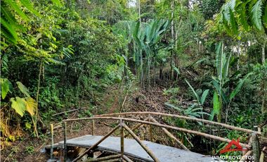 Casa finca vía Armenia