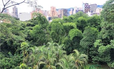 Elegancia, amplitud y ubicación estratégica. REMODELADO