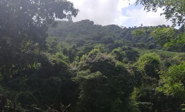 Finca Bonda