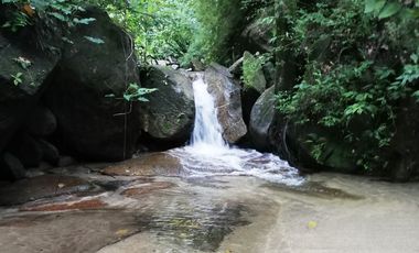Finca Bonda