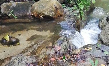 Finca Bonda