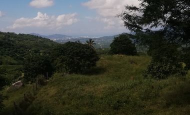 Finca Bonda
