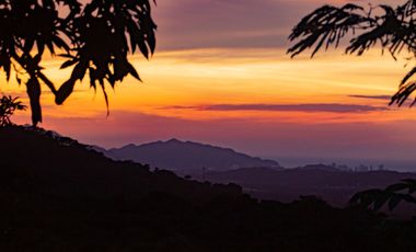 Finca Bonda