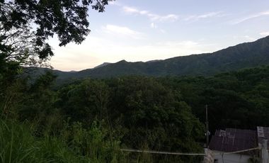 Finca Bonda