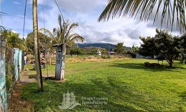 SE VENDE CASA +, 6 CUARTOS (ALQUILER O AIRBNB) 1250m2