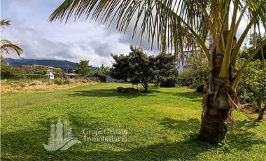 SE VENDE CASA +, 6 CUARTOS (ALQUILER O AIRBNB) 1250m2