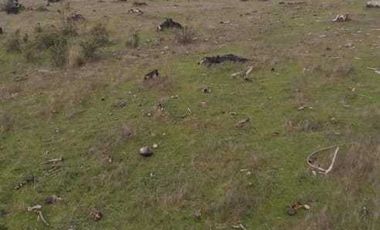 Parcela en venta en PARRAL