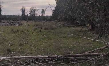 Parcela en venta en PARRAL