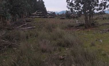 Parcela en venta en PARRAL