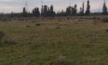 Parcela en venta en PARRAL