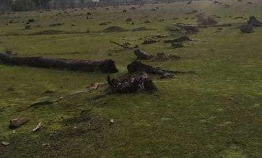 Parcela en venta en PARRAL