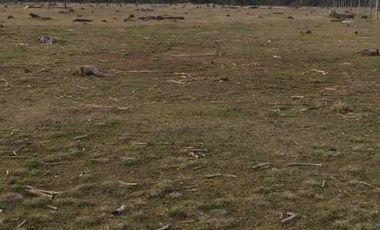 Parcela en venta en PARRAL