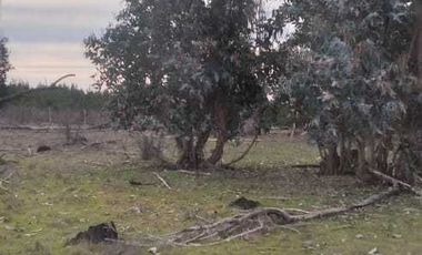 Parcela en venta en PARRAL