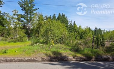 Agrícola en Venta en Sector El Aromo. Cerro Colorado