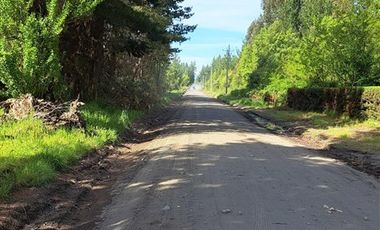 Agrícola en Venta en Sector El Aromo. Cerro Colorado