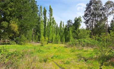 Agrícola en Venta en Sector El Aromo. Cerro Colorado