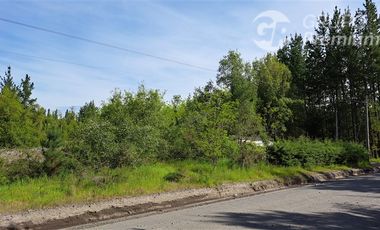 Agrícola en Venta en Sector El Aromo. Cerro Colorado