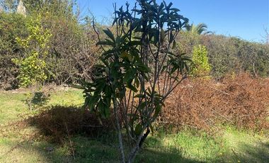 Parcela en Arriendo en El Trebolar